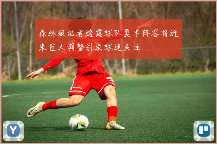 森林狼记者透露球队夏季阵容将迎来重大调整引发球迷关注